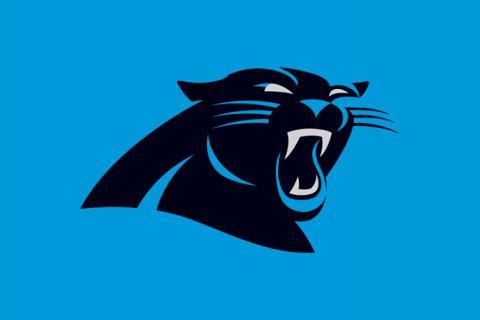Carolina Panthers Betting Odds